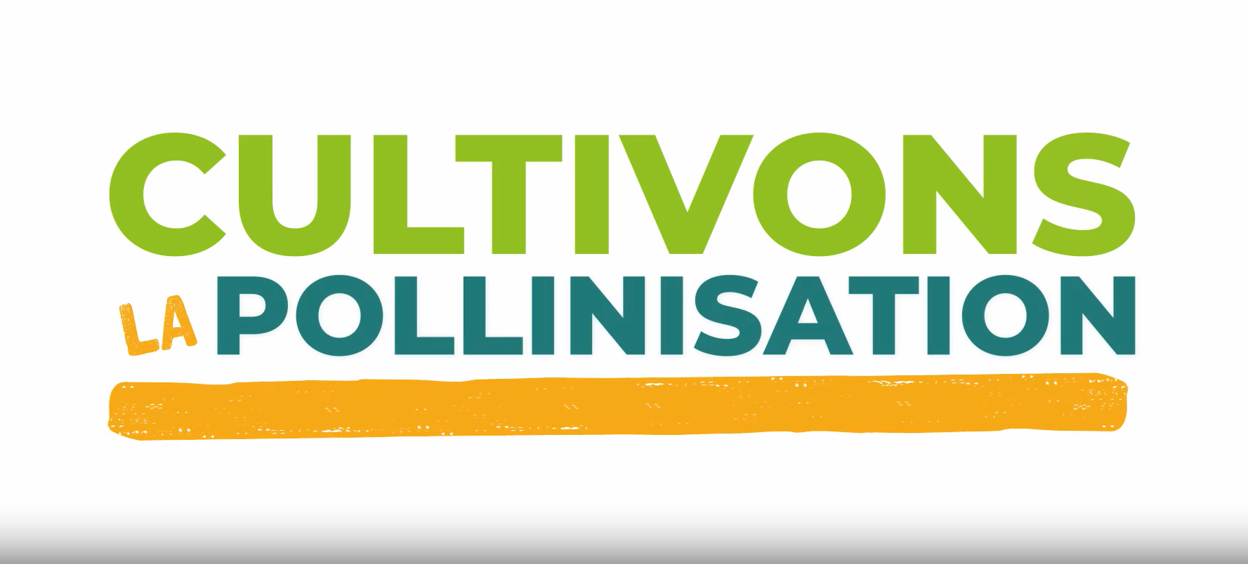 Websérie : Cultivons la pollinisation