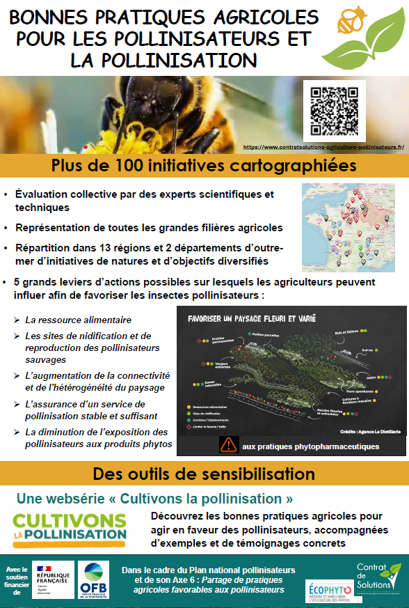 Comment mettre en place des bonnes pratiques agricoles pour les pollinisateurs et la pollinisation ?