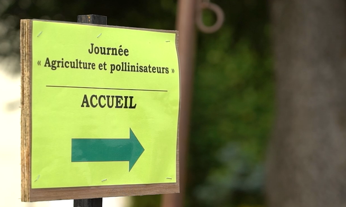[RETOUR EVENEMENT] « Semons des solutions pour une agriculture durable » : une journée technique fédératrice pour les pollinisateurs en milieu agricole